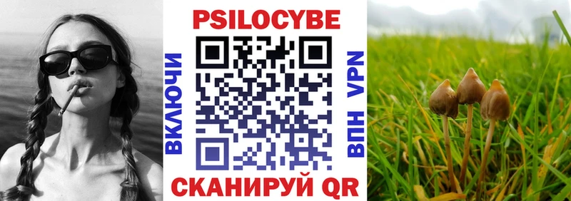 Псилоцибиновые грибы Magic Shrooms  гидра ТОР  Николаевск-на-Амуре 